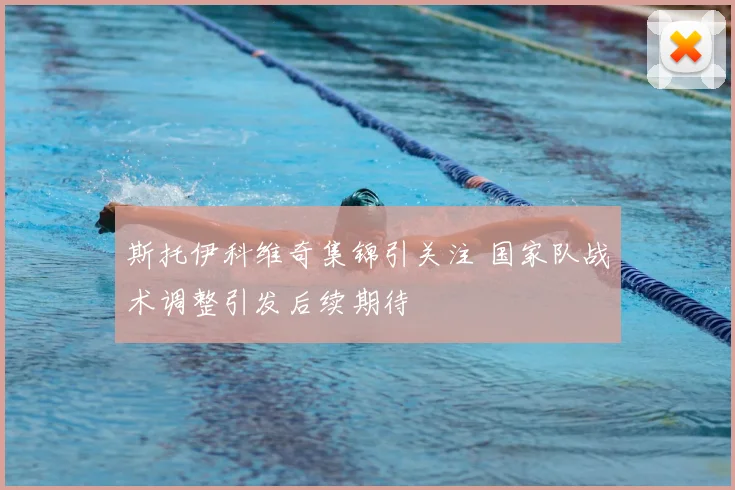 斯托伊科维奇集锦引关注 国家队战术调整引发后续期待