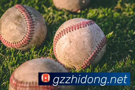 奖项2